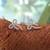 Silver color american diamond earrings with everyday style