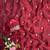 Maroon Color beads and Hand Work Sartin Saree