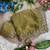 Olive Color beads and Hand Work Sartin Saree