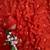 Red Color beads and Hand Work Sartin Saree