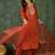 Women's Gorgeous Embroidery Work Silk Fabric Straight Kurta Pant and Dupatta Set
