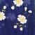 blue printed mulmul soft saree