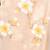 beige printed mulmul soft saree