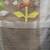 Grey texture design tissue soft saree