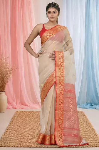 elegant beige and red resham saree with zari border