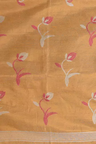 Beige tissue saree with ethnic motifs and golden border