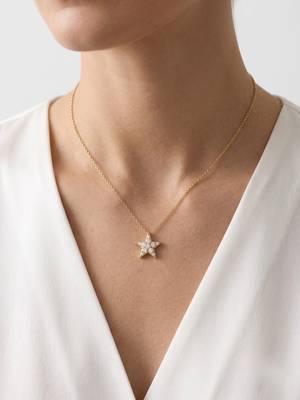 925 Sterling Silver Gold Plated  Celestia Star CZ Pendant Necklace Set For Women  1