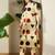 Women Printed Regular Pure Cotton Kurta with Trousers
