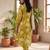 Women Floral Printed Regular Pure Cotton Kurta with Trousers