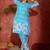 Women Printed Regular Pure Cotton Kurta with Trousers