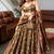 Women's Brown Silk Zari Embroidery Work Lehenga Choli