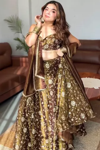 Women's Brown Silk Zari Embroidery Work Lehenga Choli