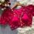 Rani pink navratri satin silk blend mirror work blouse