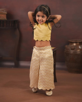 Kasavu zigzag palazzo and tissue crop top set 3