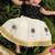Thengu printed top and skirt