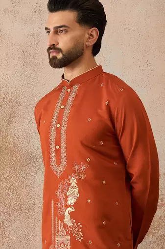 Mens brown viscose rayon solid emboidered straight kurta