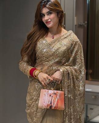 Chiku Color  Sequins And  Embroidery work Net Saree 1
