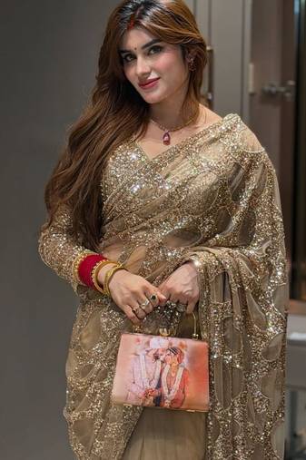Chiku Sequins And Embroidery work Net Saree