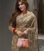 Chiku Color  Sequins And  Embroidery work Net Saree