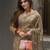 Chiku Color  Sequins And  Embroidery work Net Saree