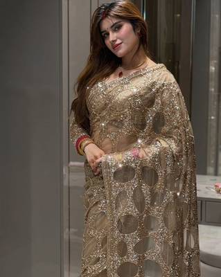 Chiku Color  Sequins And  Embroidery work Net Saree 2