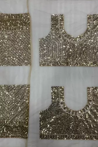 Chiku Color  Sequins And  Embroidery work Net Saree