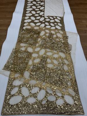 Chiku Color  Sequins And  Embroidery work Net Saree 4