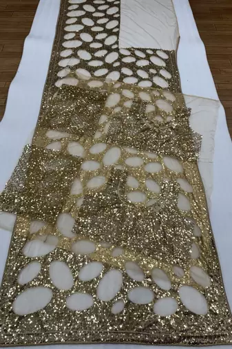 Chiku Color  Sequins And  Embroidery work Net Saree