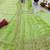 Parrot green fendy silk blend embroidered gown set with dupatta