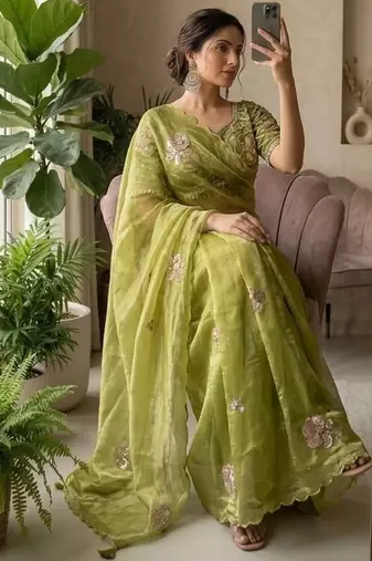 Olive Color beads and sequence work sartin saree