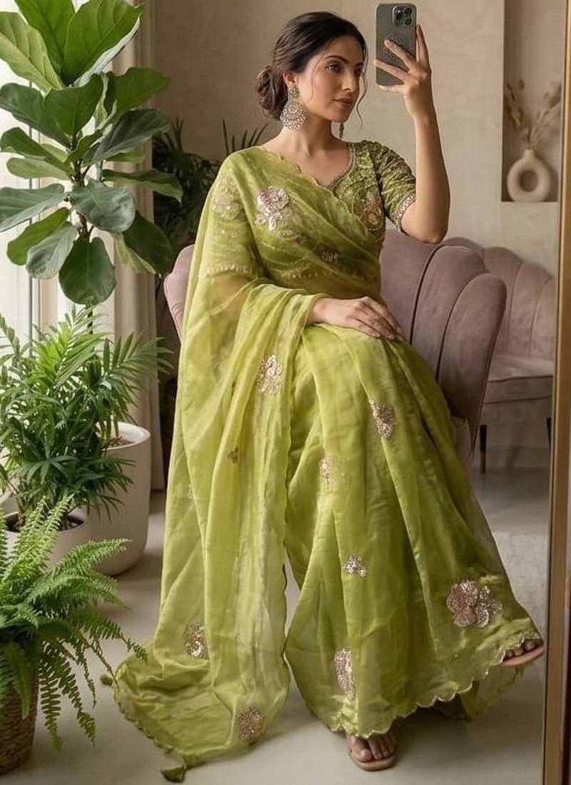 Olive Color beads and sequence work sartin saree
