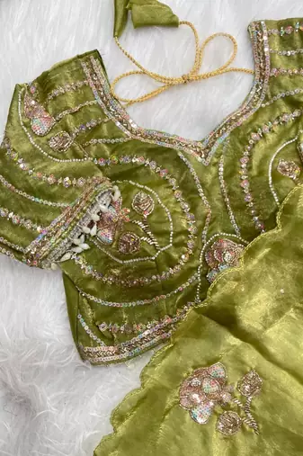 Olive Color beads and sequence work sartin saree