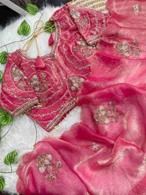 Pink Color beads and sequence work sartin saree 4