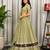 Sage Green Navratri Lehenga Choli with Embroidered Dupatta - Full stitched free size