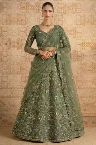 Mehendi Butterfly Net Heavy Embroidery With Stone Work