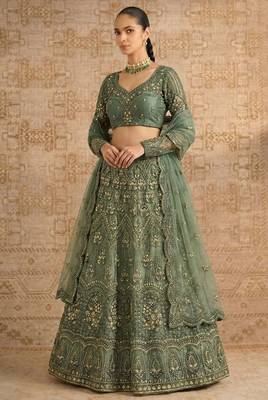 Mehendi Butterfly Net Heavy Embroidery With Stone Work 2