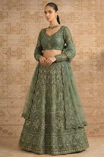 Mehendi Butterfly Net Heavy Embroidery With Stone Work