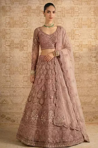 Mauve Butterfly Net Heavy Embroidery With Stone Work