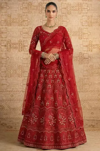 Red Butterfly Net Heavy Embroidery With Stone Work
