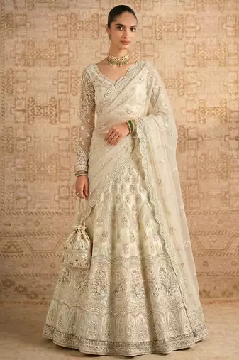 Off White Butterfly Net Heavy Embroidery With Stone Work