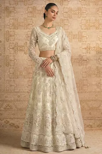 Off White Butterfly Net Heavy Embroidery With Stone Work