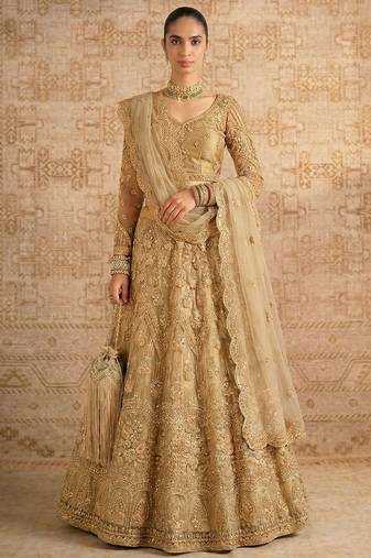 Beige Butterfly Net Heavy Embroidery With Stone Work