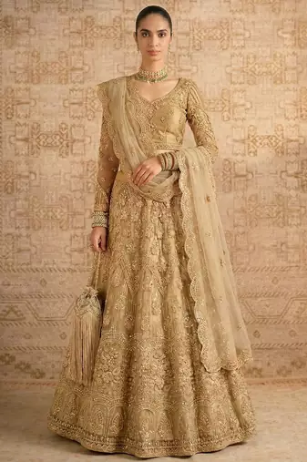 Beige Butterfly Net Heavy Embroidery With Stone Work