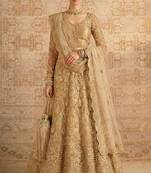 Beige Butterfly Net Heavy Embroidery With Stone Work