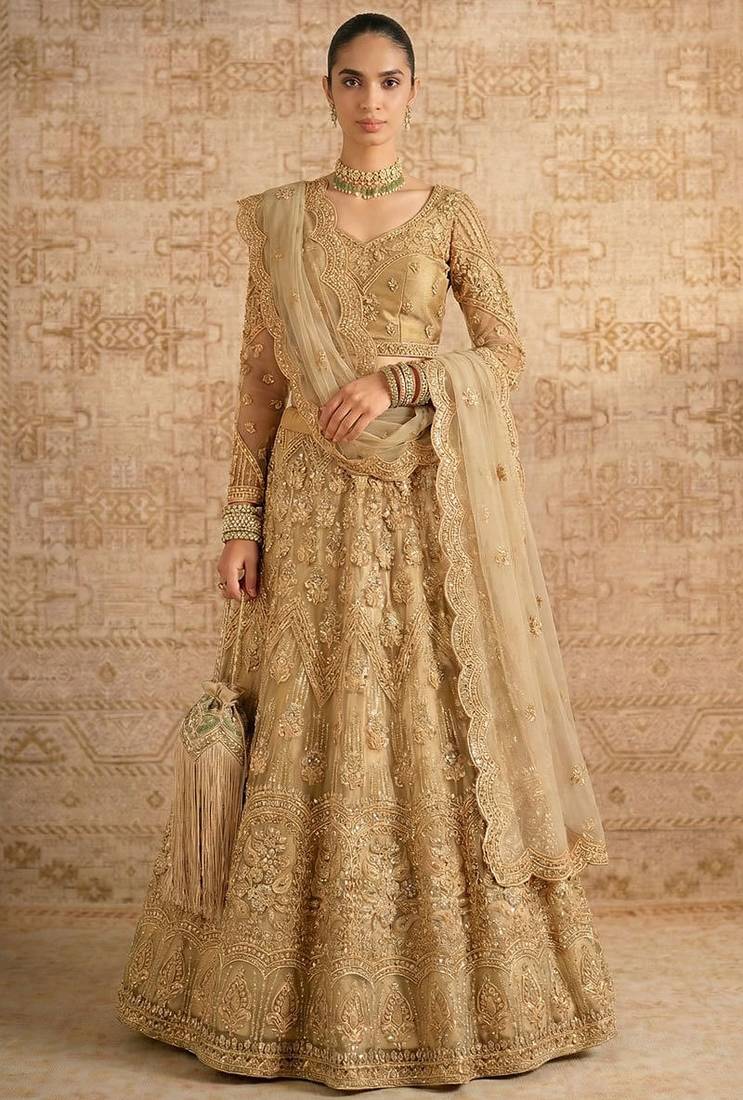 Beige Butterfly Net Heavy Embroidery With Stone Work