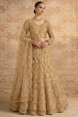 Beige Butterfly Net Heavy Embroidery With Stone Work 2