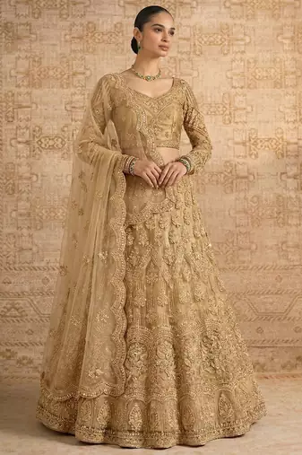 Beige Butterfly Net Heavy Embroidery With Stone Work