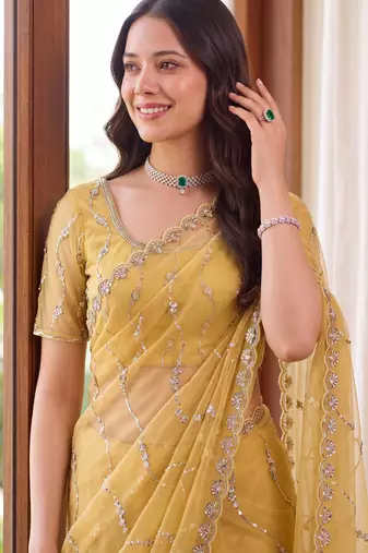 Designer beads embroidery saree