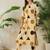 Women Printed Regular Pure Cotton Kurta with Trousers