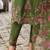 Women Floral Embroidered Regular Thread Work Liva Kurta with Trousers & With Dupatta